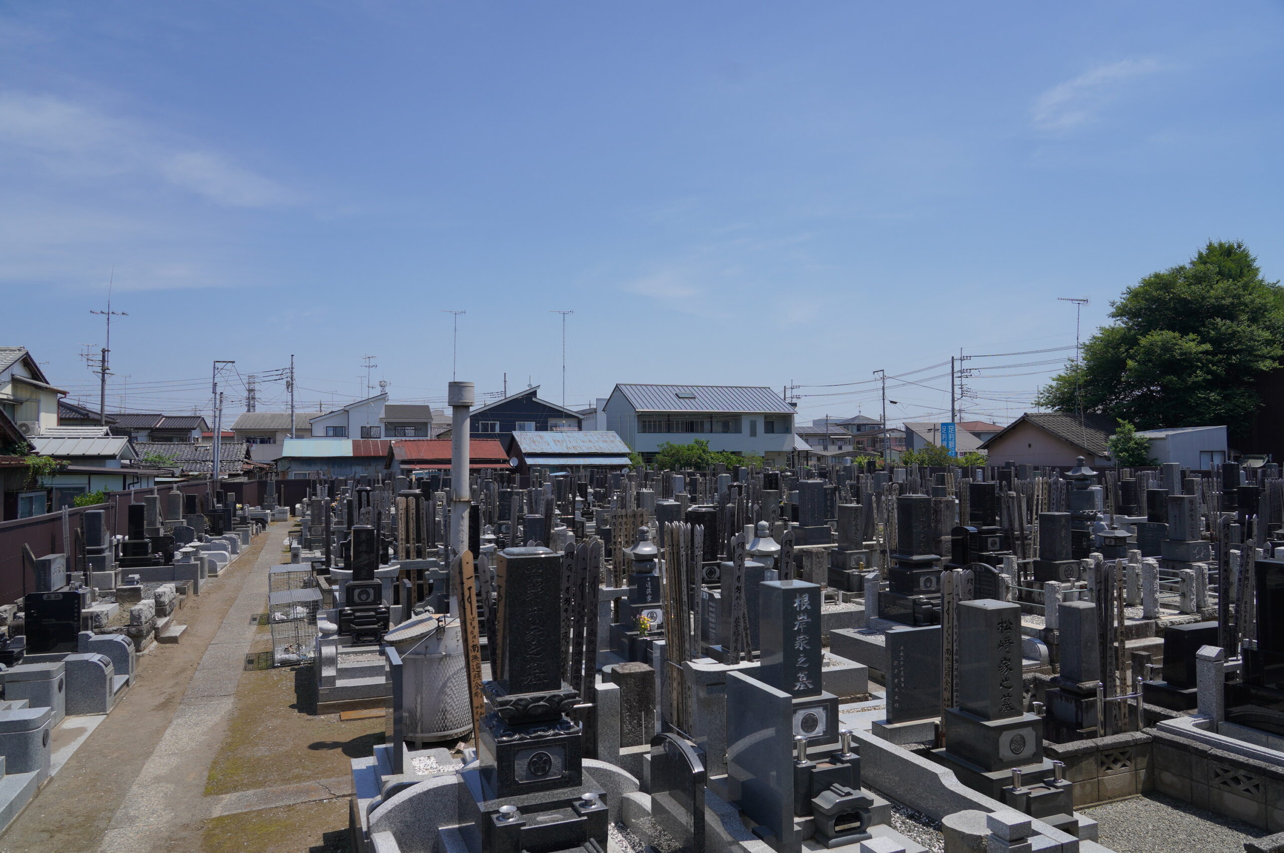 観性寺 墓地の様子
