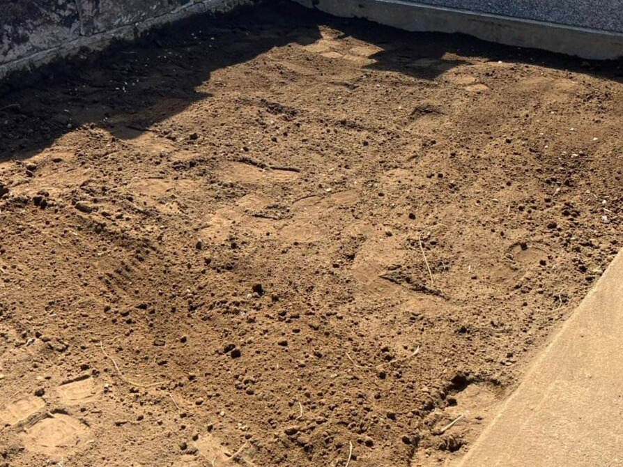 墓じまい後の写真